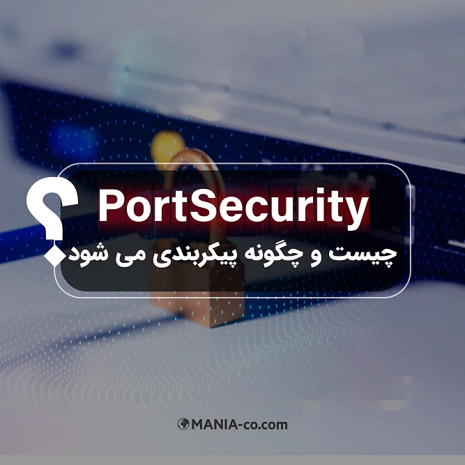 PORT SECURITY