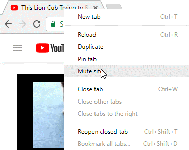 chrome setting
